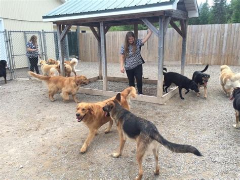 best pet boarding near me|local dog sitters near me.